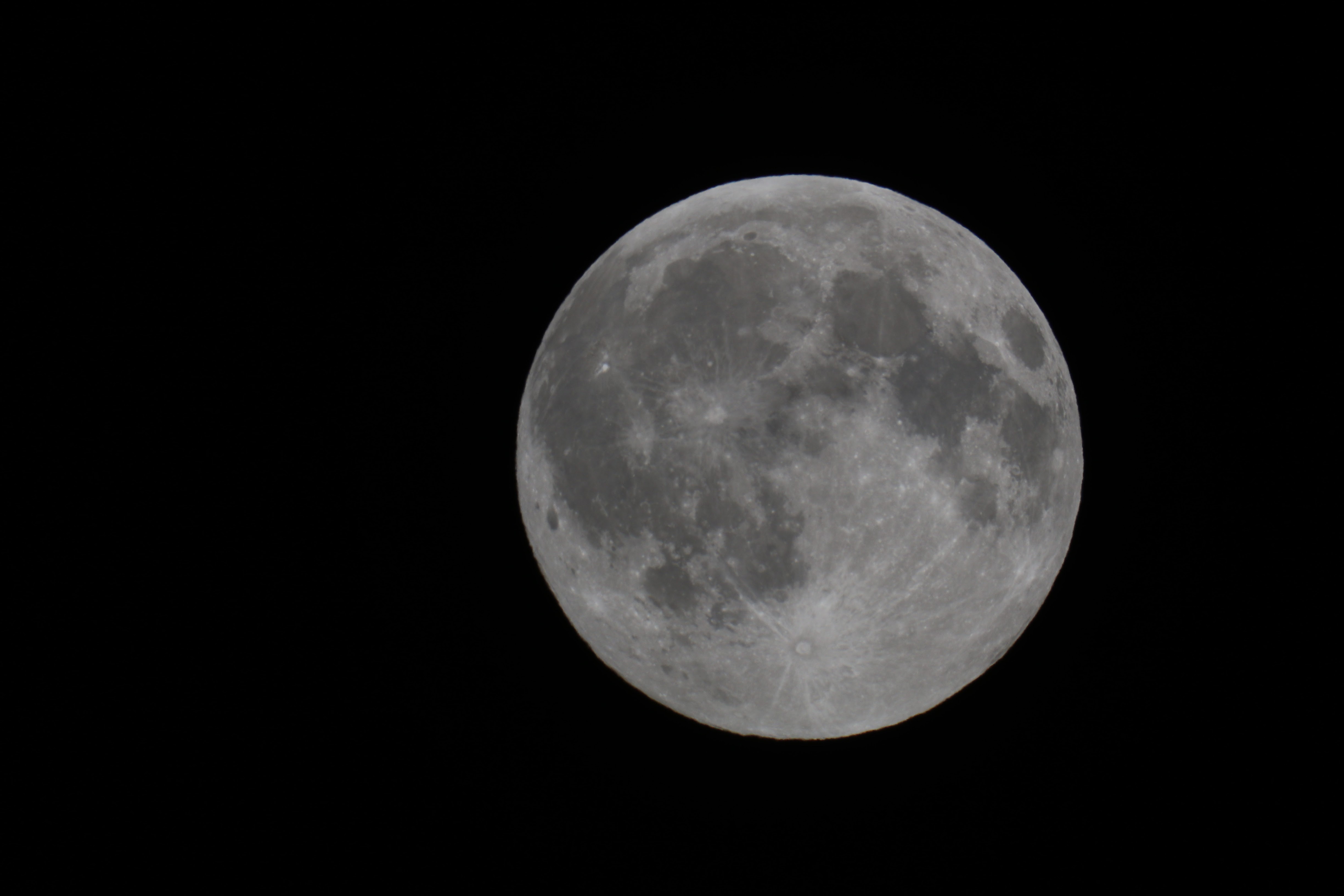 The Sturgeon Moon of August CosmosPNW