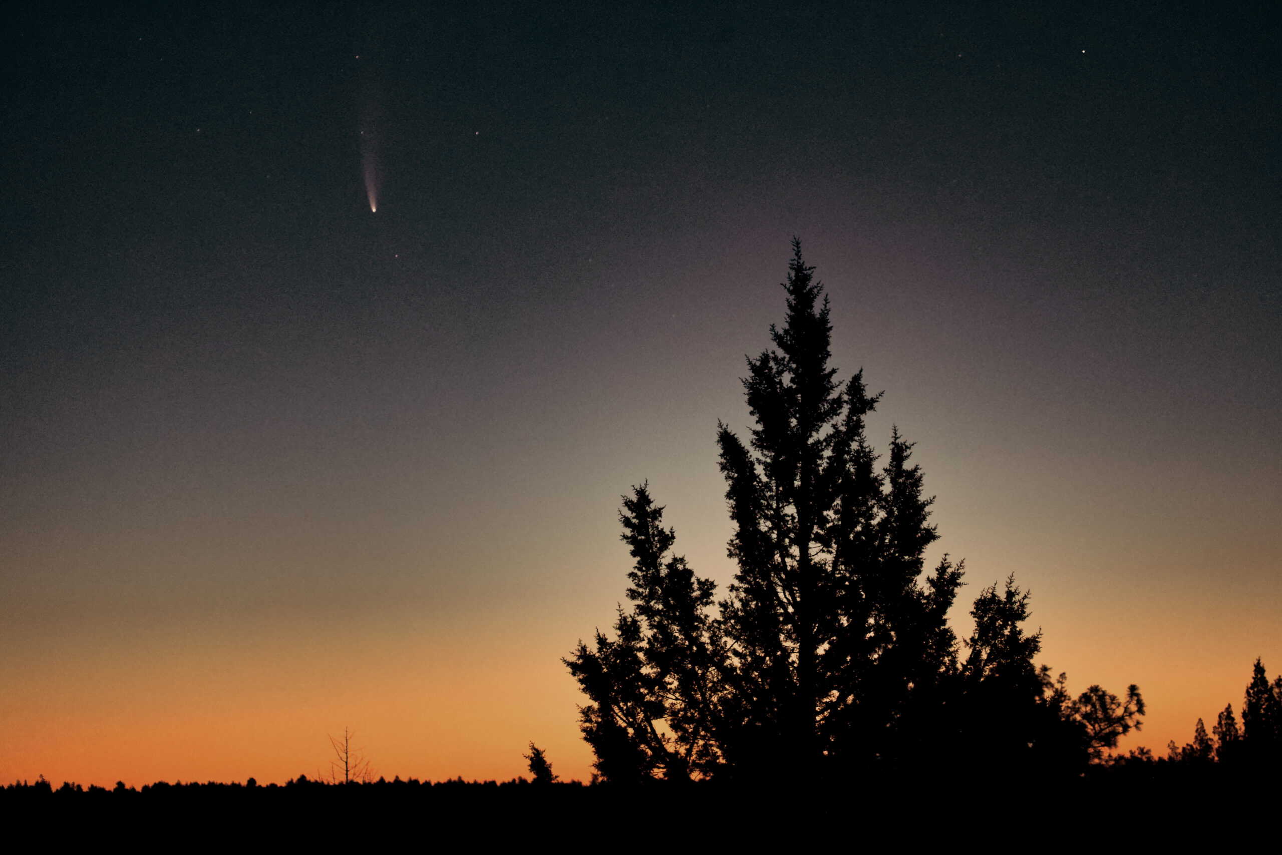 Viewing Comet Neowise Cosmospnw