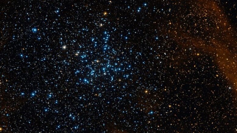 Messier 38 Starfish Cluster